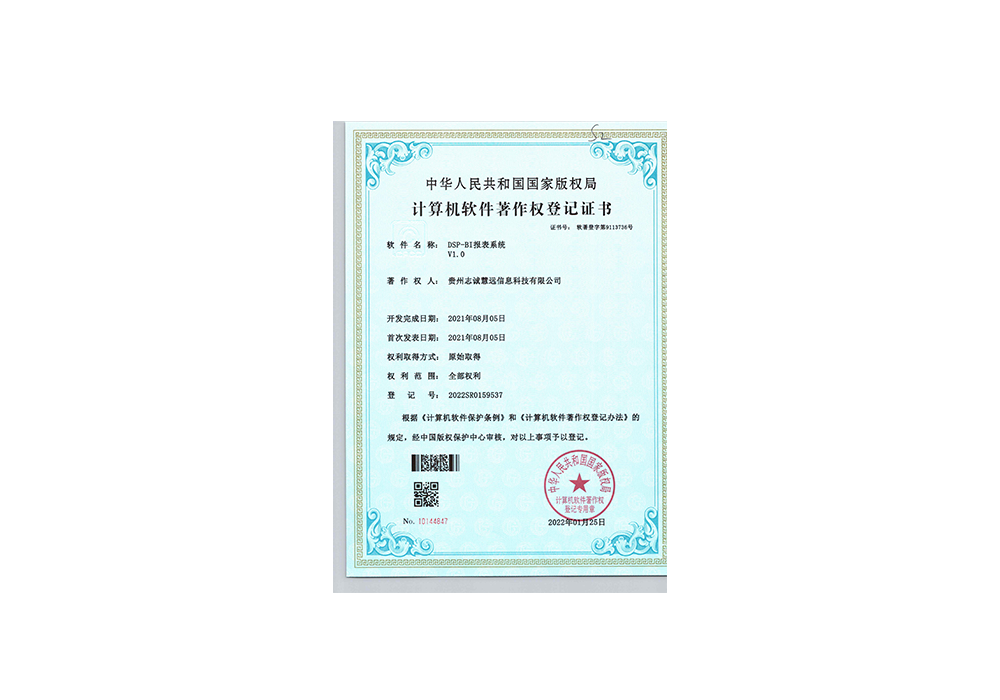 DSP-BI报表系统